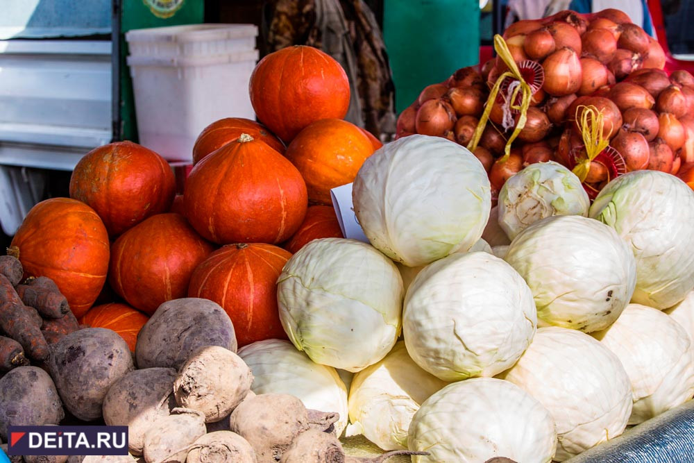 Александр Ролик: «Труд работников аграрного сектора Приморья заслуживает самого глубокого уважения»