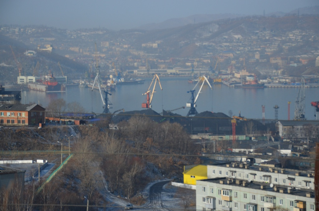 Главы городов Приморья рассказали иностранцам о преимуществах края