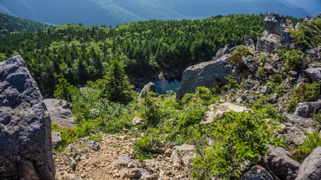 История о пяти днях лесного плена в Приморье достигла развязки