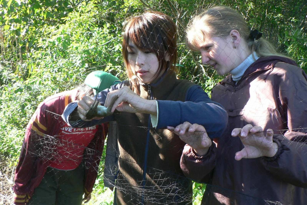 Перелетных птиц изучают на международном уровне в Приморье