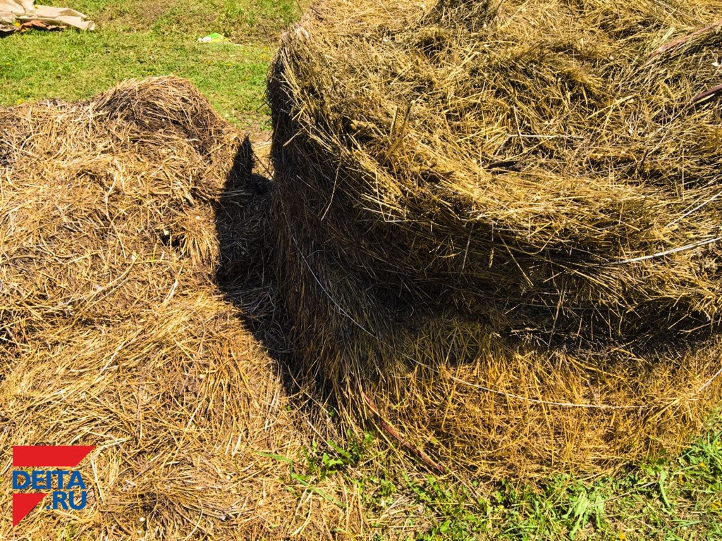 Мужчина погиб при заготовке сена в Приморье