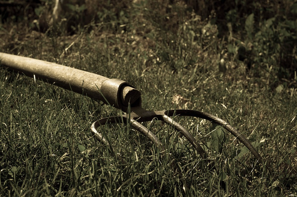 Приморец накинулся с вилами на полицейского