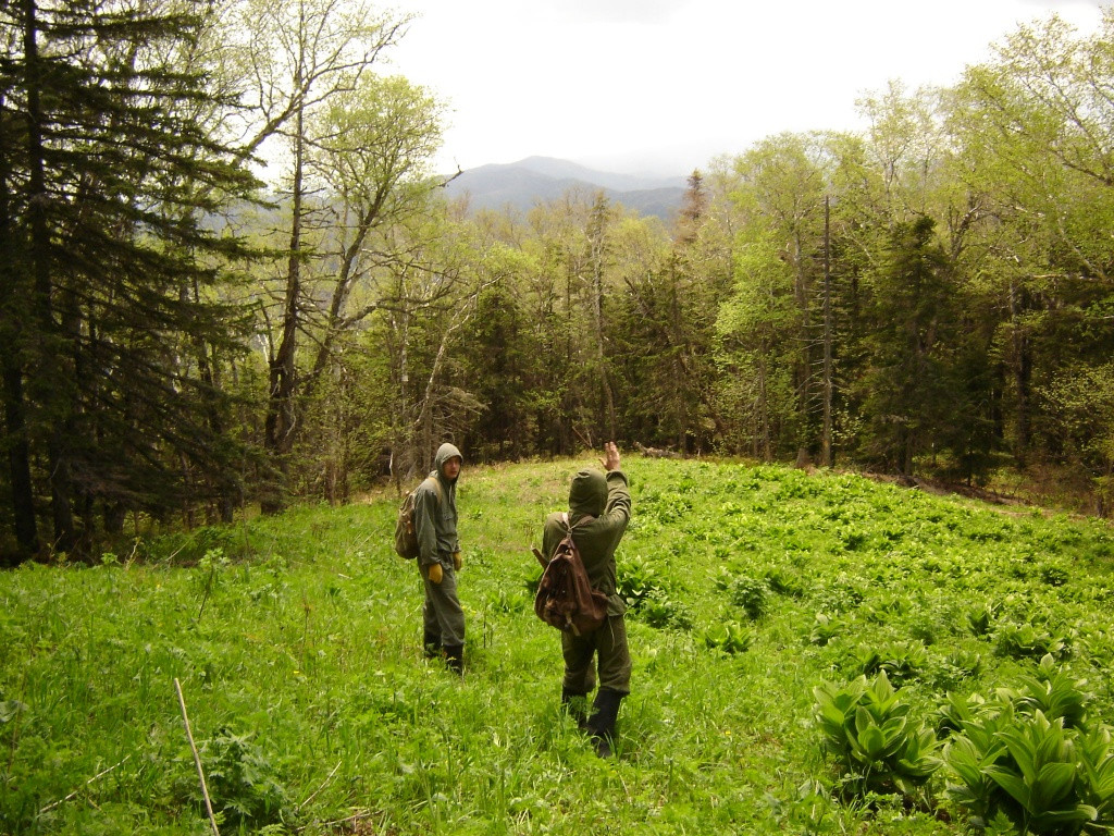 Уникальную культуру возрождают в Приморье