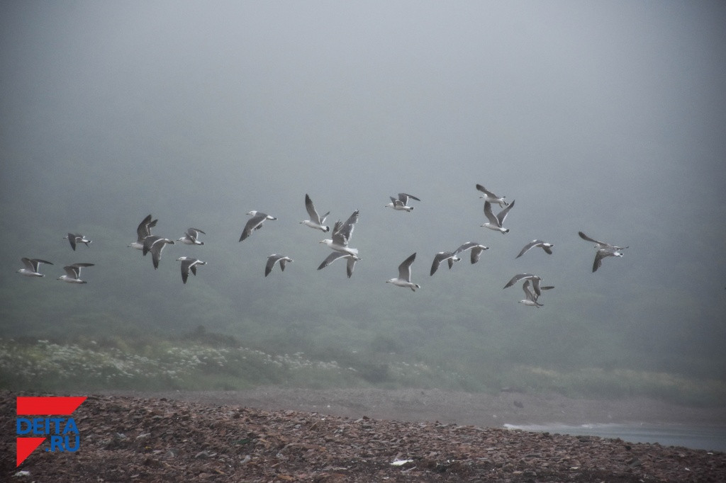 Передовые технологии представят на конгрессе рыбаков