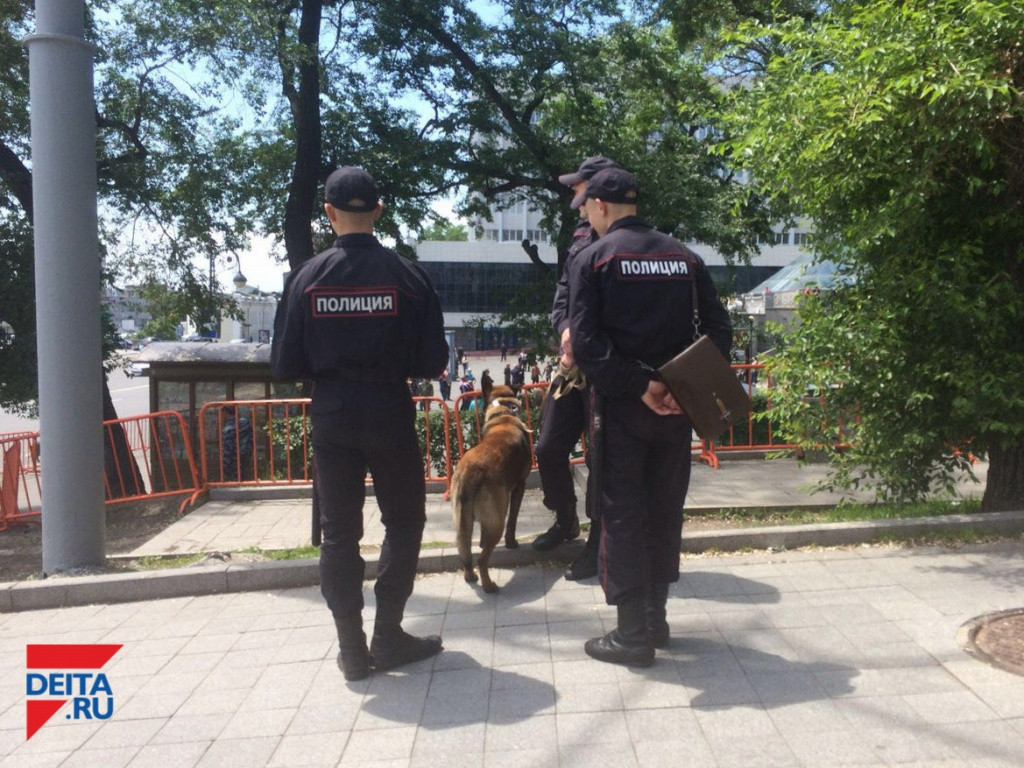 Следком готовит проверку по информации ИА "Deita.ru" об избиении детей