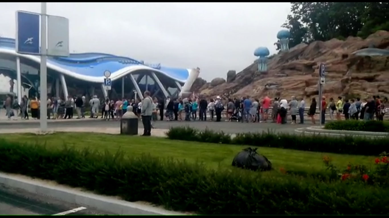 Приморский океанариум вновь запустил удобный интернет-сервис