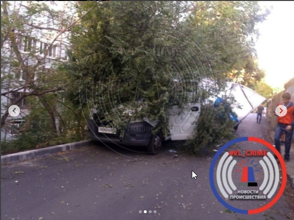 Курьезное ДТП произошло во Владивостоке (фото)