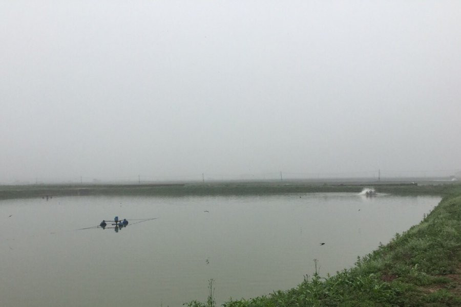 Депутаты поддержали развитие аквакультуры в Приморье