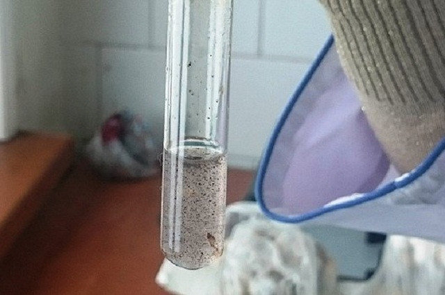 Уникальные вакцины против опасных заболеваний создали ученые Приморья