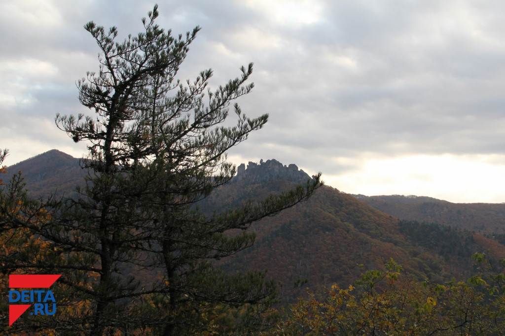 Директора похоронного бюро убили на кладбище на Дальнем Востоке
