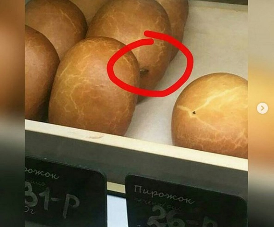 Таракан атаковал кофейню во Владивостоке