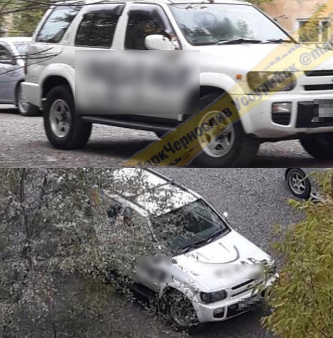 Утро не задалось у владельца элитного авто в Приморье (фото)