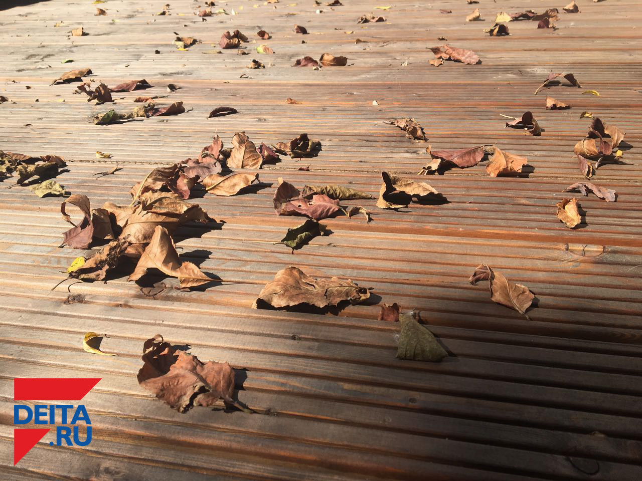 К таким погодным изменениям нужно готовиться жителям Приморья