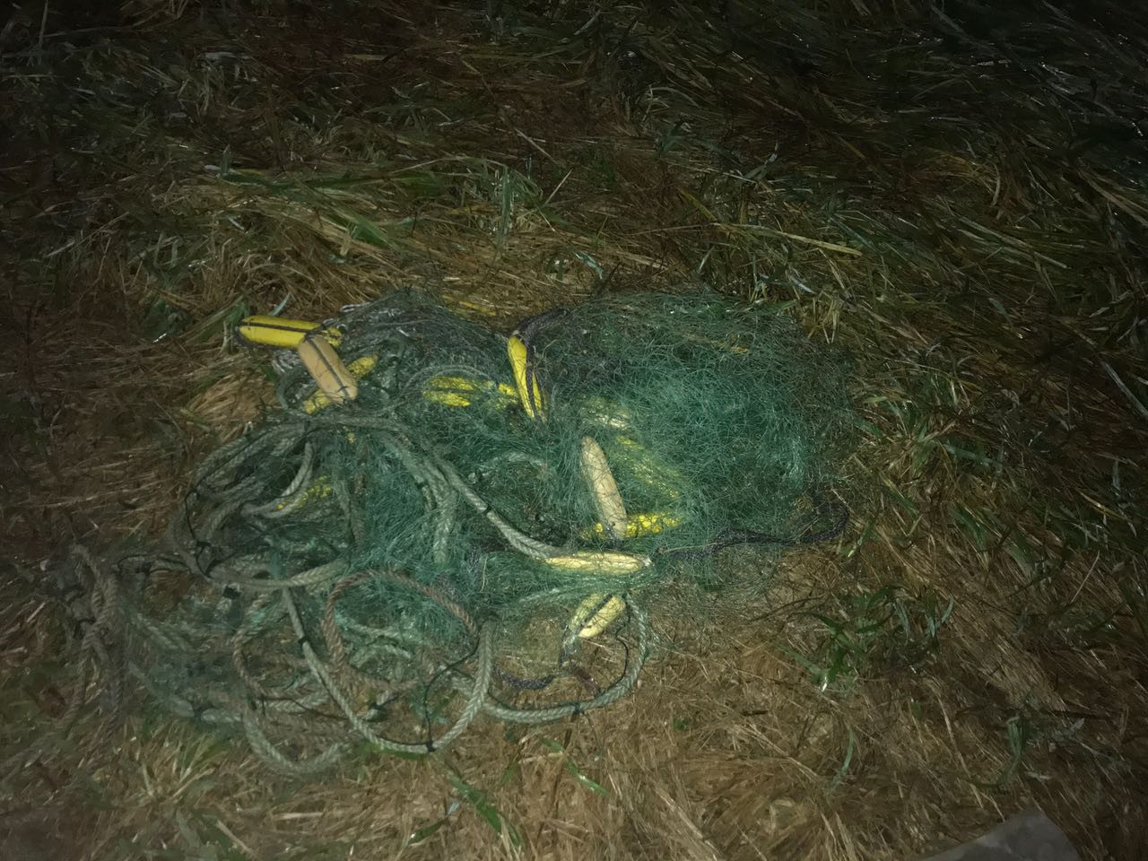 У браконьеров забрали многое на Дальнем Востоке