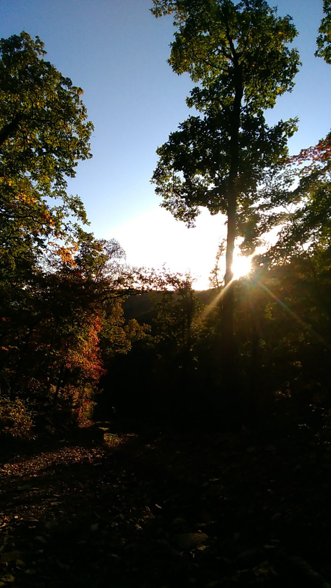 Пропавшие в лесах Приморья мужчины обнаружены