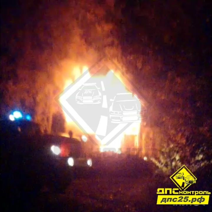 Крупный пожар встревожил приморцев минувшей ночью (видео)