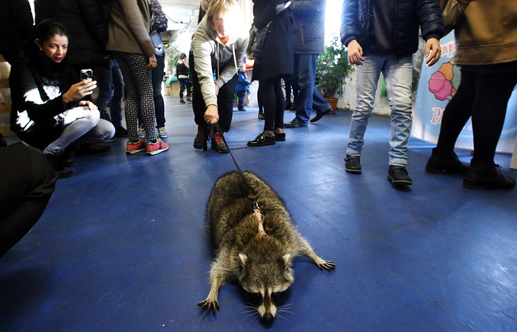 Контактным зоопаркам осталось недолго -
