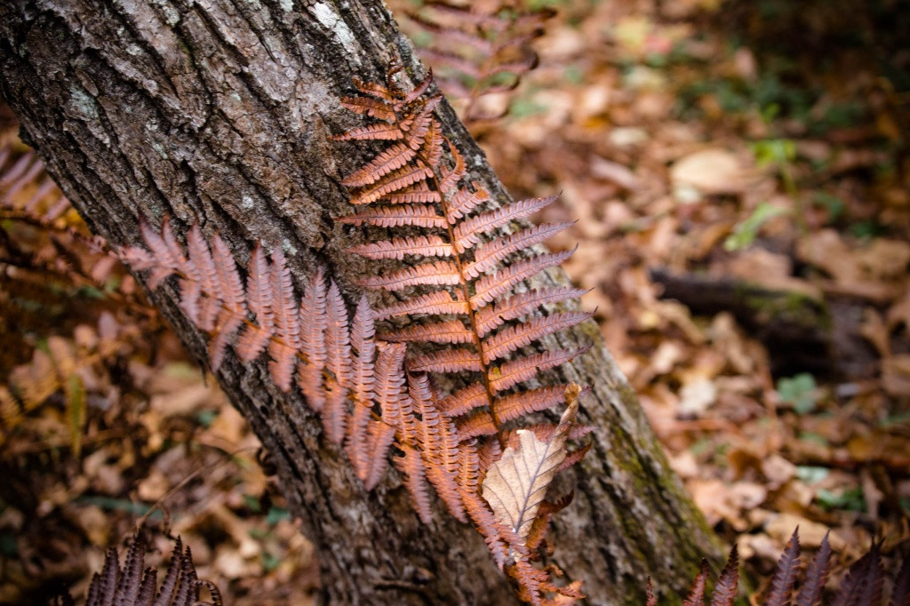 Владивостокцев ждет неприятный сюрприз от погоды