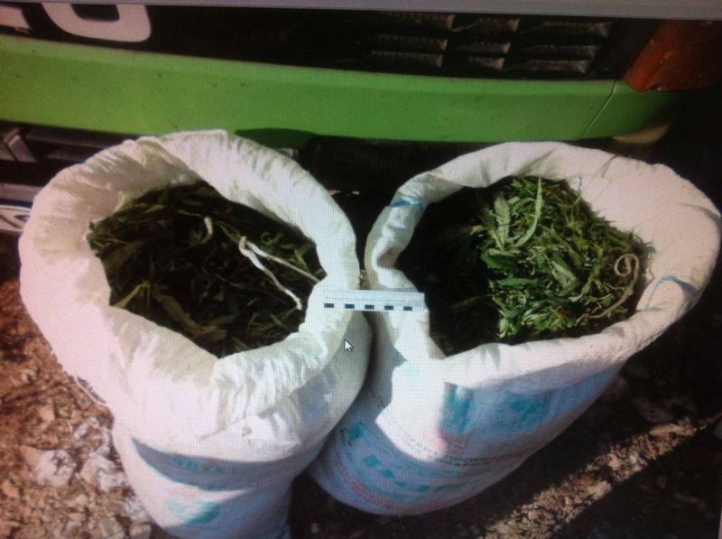 Конопляный барон задержан в Приморье