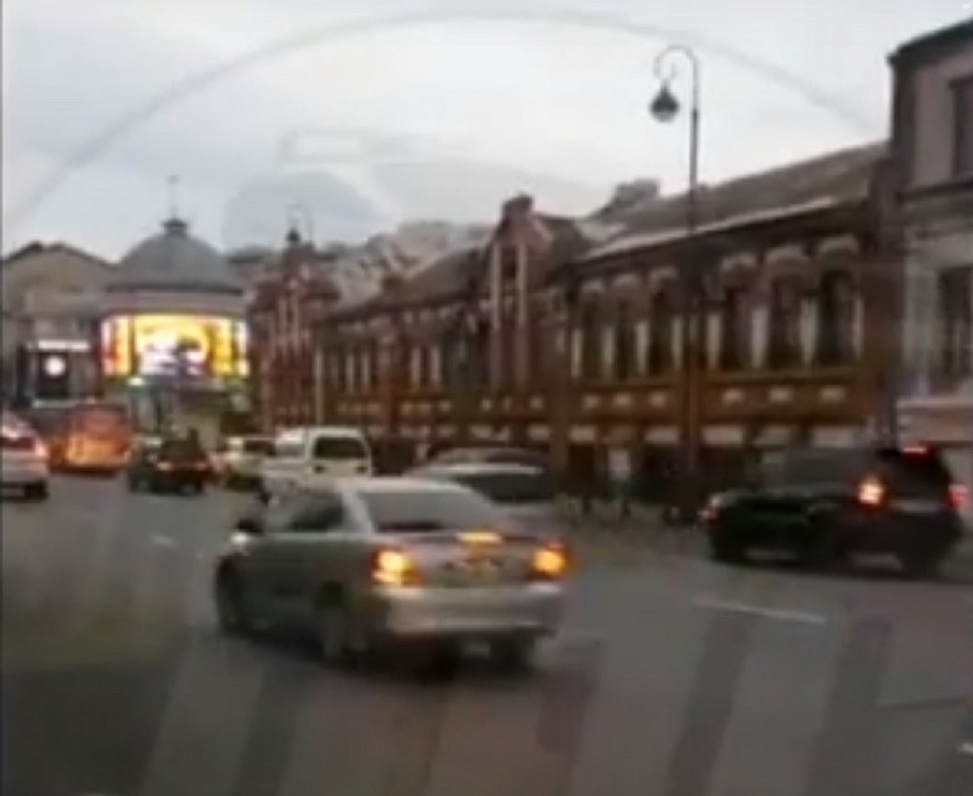 Морское животное обнаружено в центре Владивостока (видео)