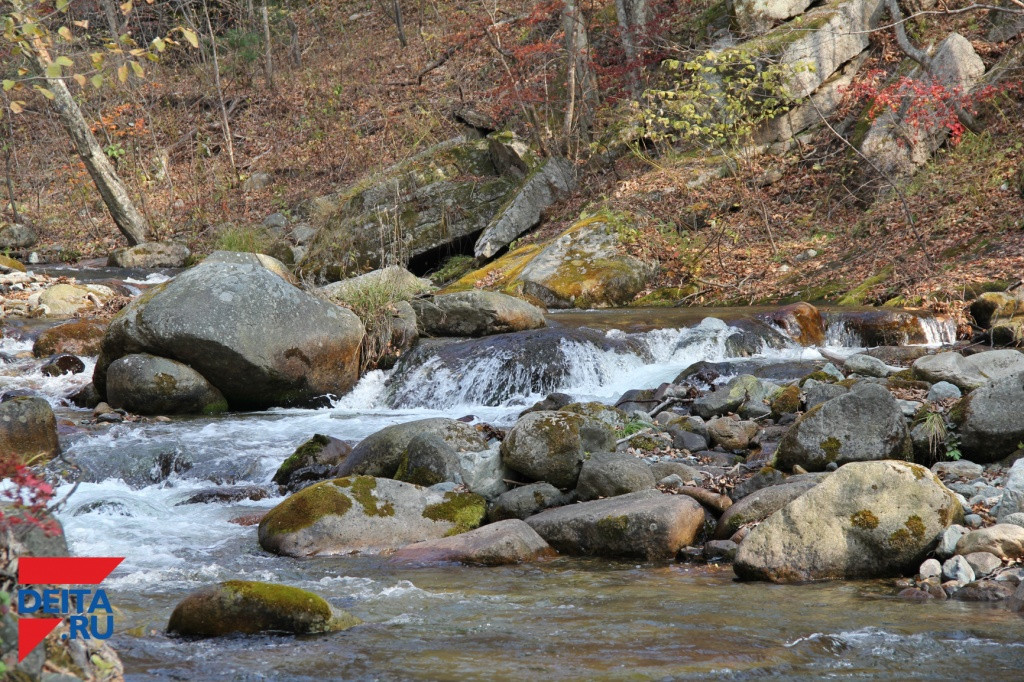 Ужасная находка обнаружена на дальневосточной реке