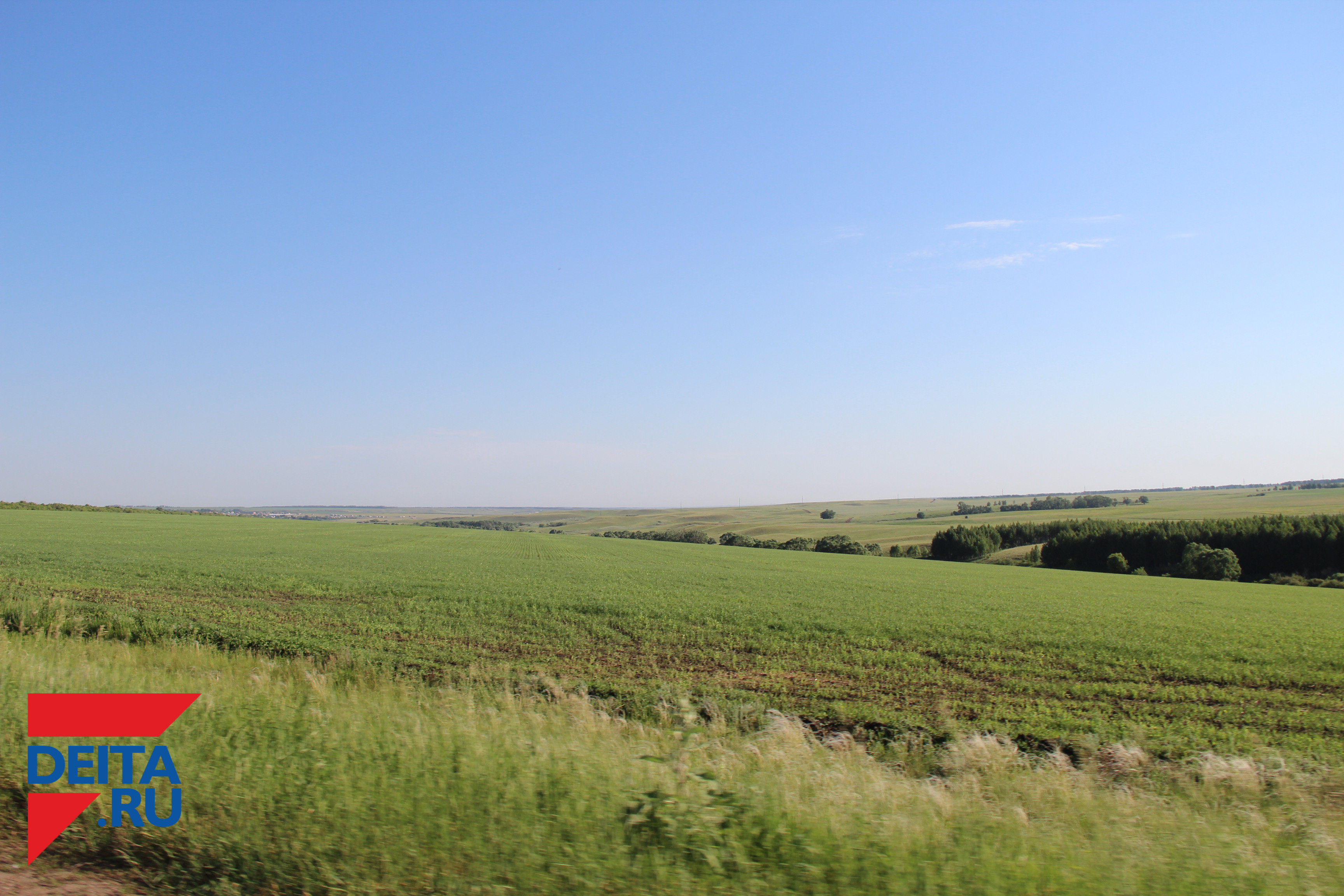 200 единиц сельхозтехники представят гостям Дальневосточного дня поля