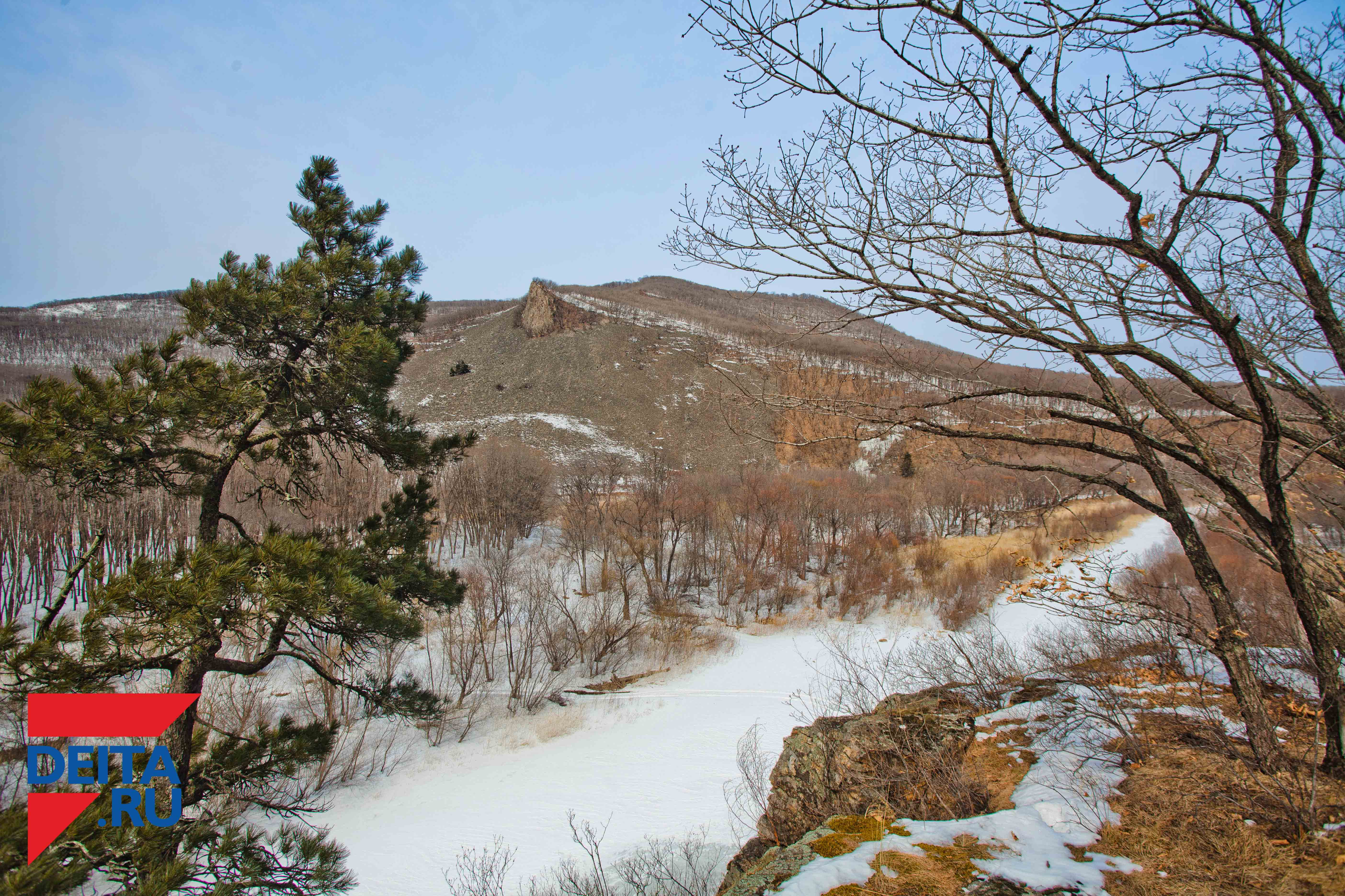 Стал известен график выхода на пенсию для северян