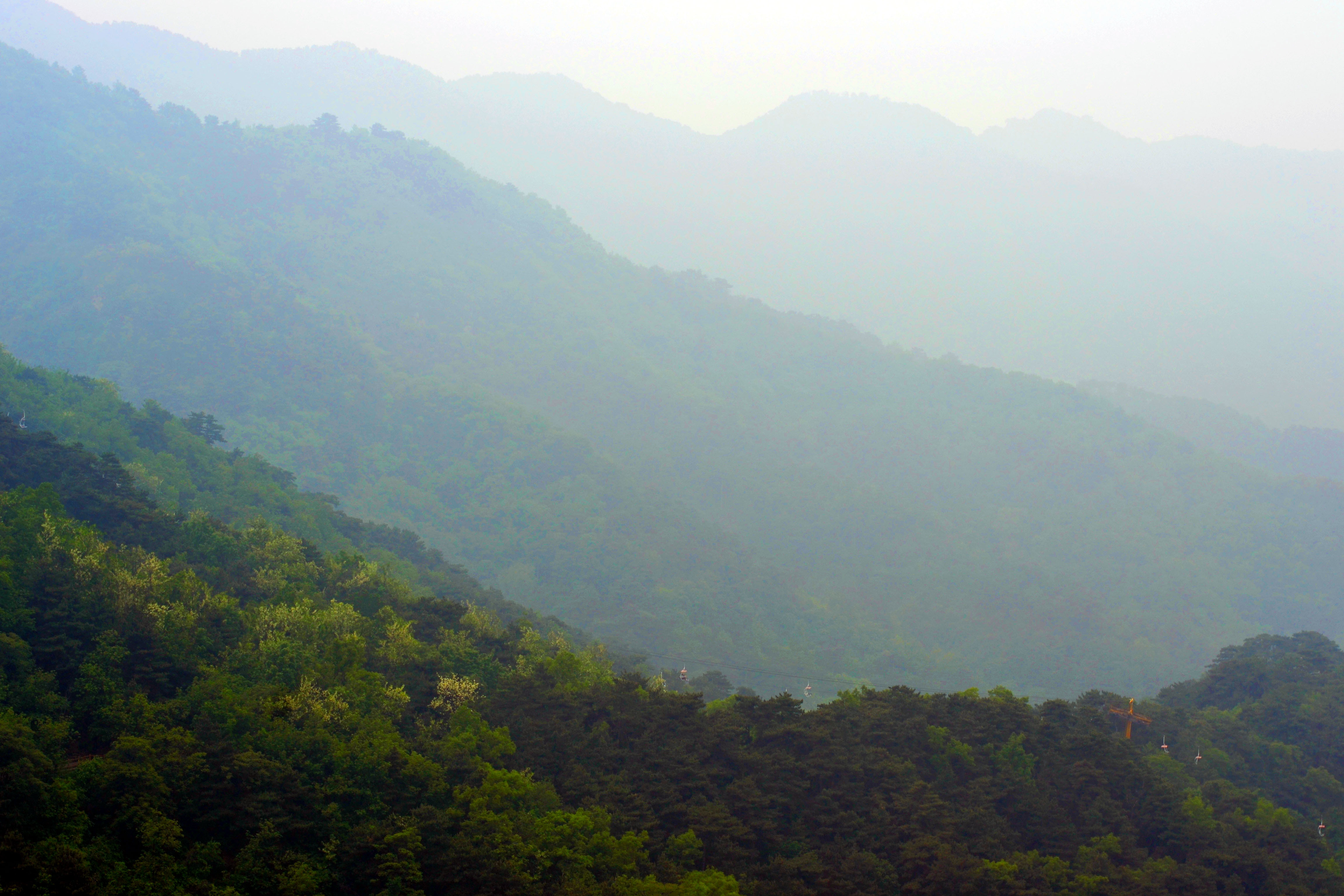 Леопарды в Приморье будут гулять свободнее