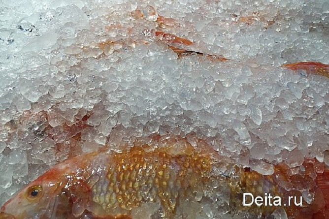 Полтонны опасных морепродуктов нашли на складе во Владивостоке