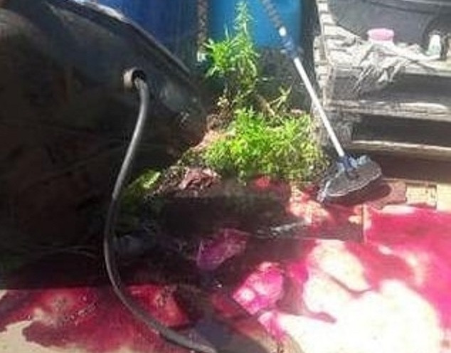 Шестое чувство предотвратило взрыв на острове Русском