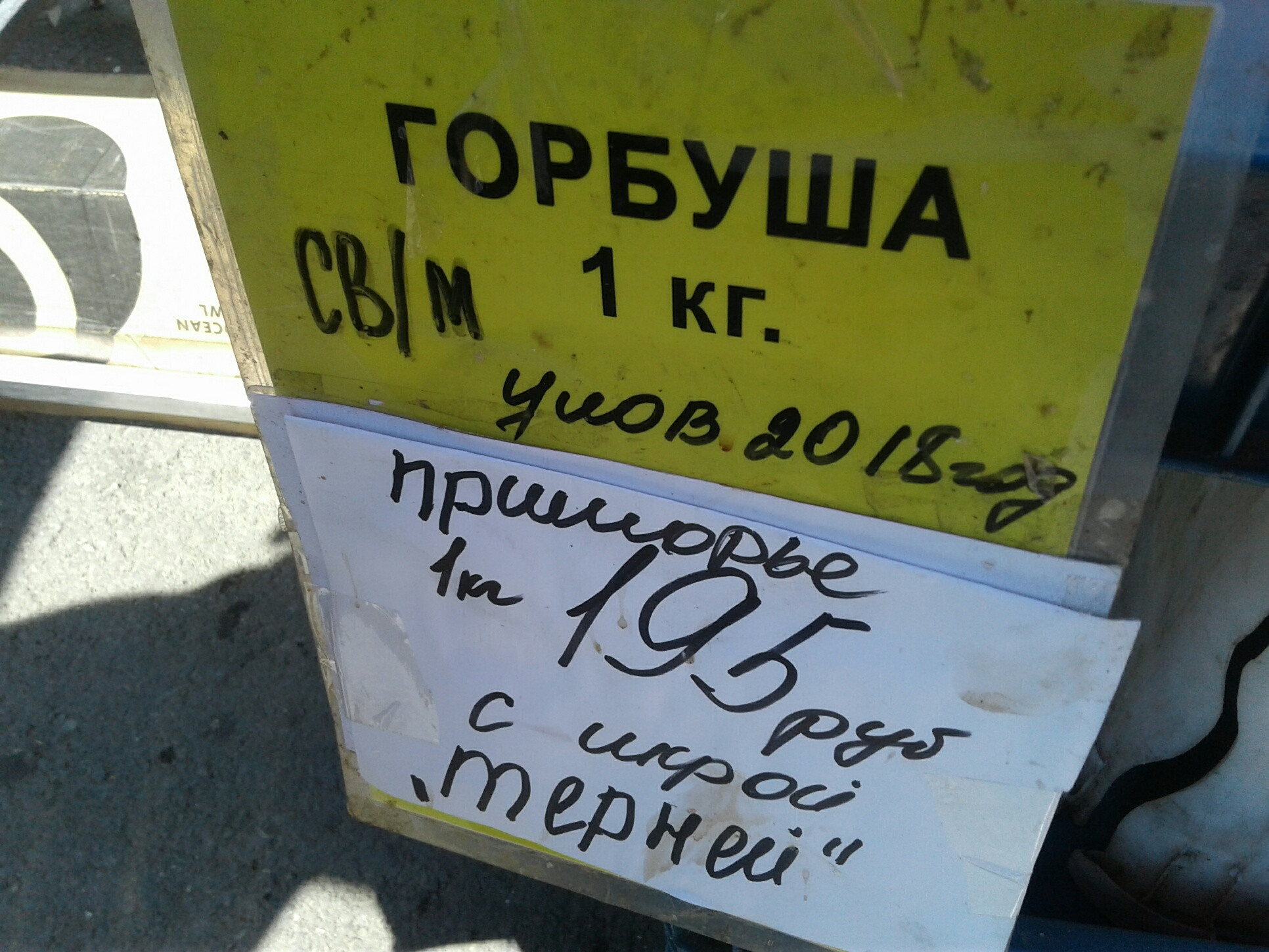 Настоящий скандал: килограмм горбуши за день подорожал на 100 рублей