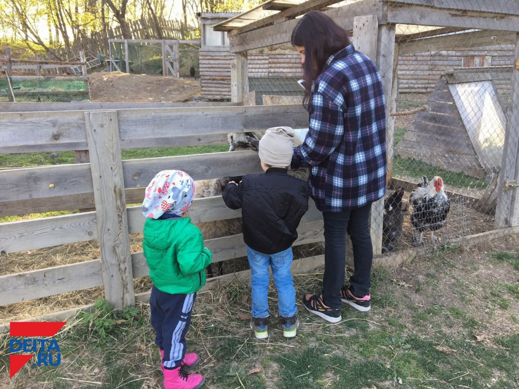 Невероятное событие произошло в приморском зоопарке