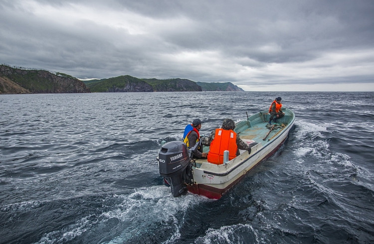 Деликатесы выращивают на «морских огородах» в Приморье
