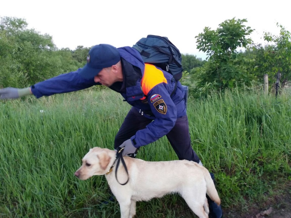 Пропавшую в приморских лесах пенсионерку уже не ищут