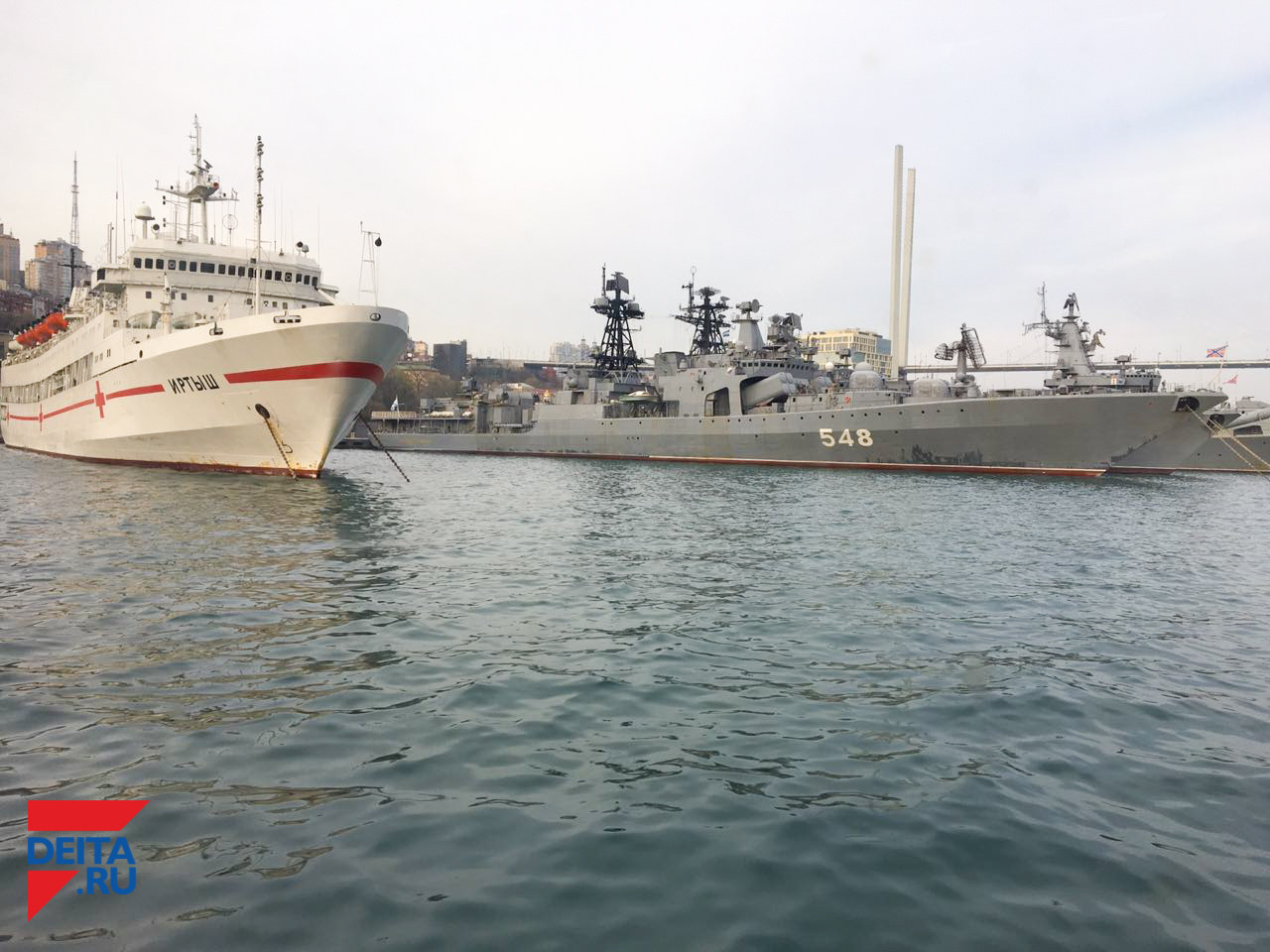 Источник грязи в Золотом роге найден и обезврежен