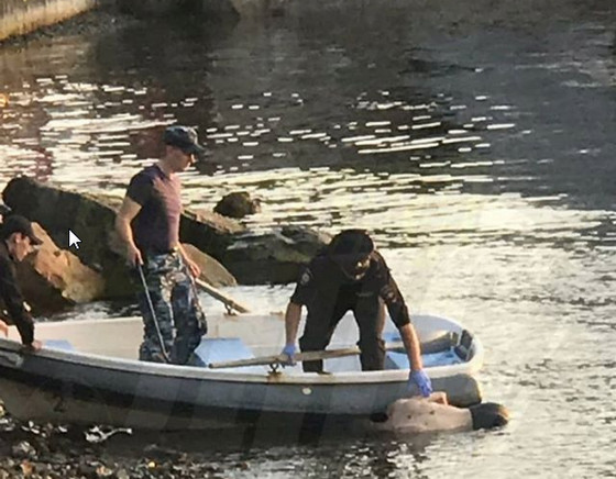 В центре Владивостока полицейские выловили труп мужчины