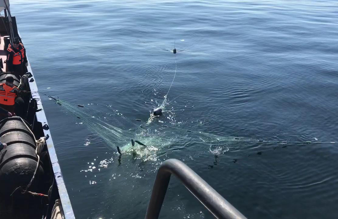 Незаконный дрифт в море выявлен пограничниками