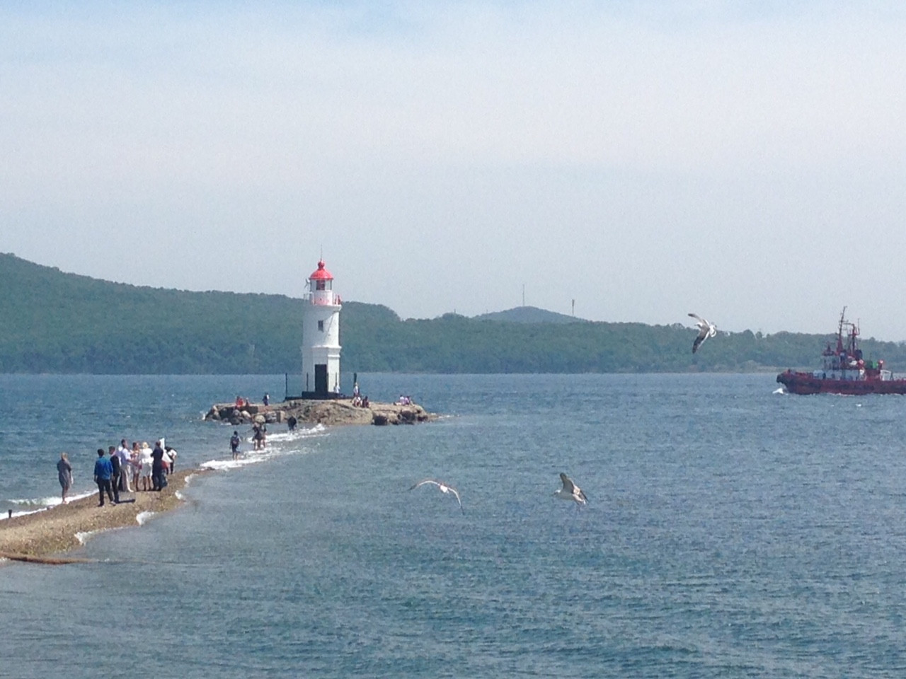 "Это все, что вы построили?": мэр Веркеенко наругал арендатора пляжа