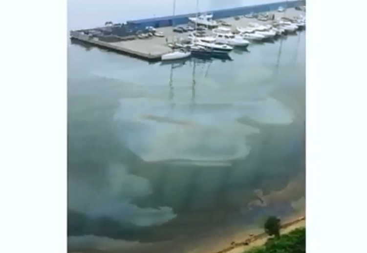 Владивостокцы возмущены ситуацией на пляже в центре города