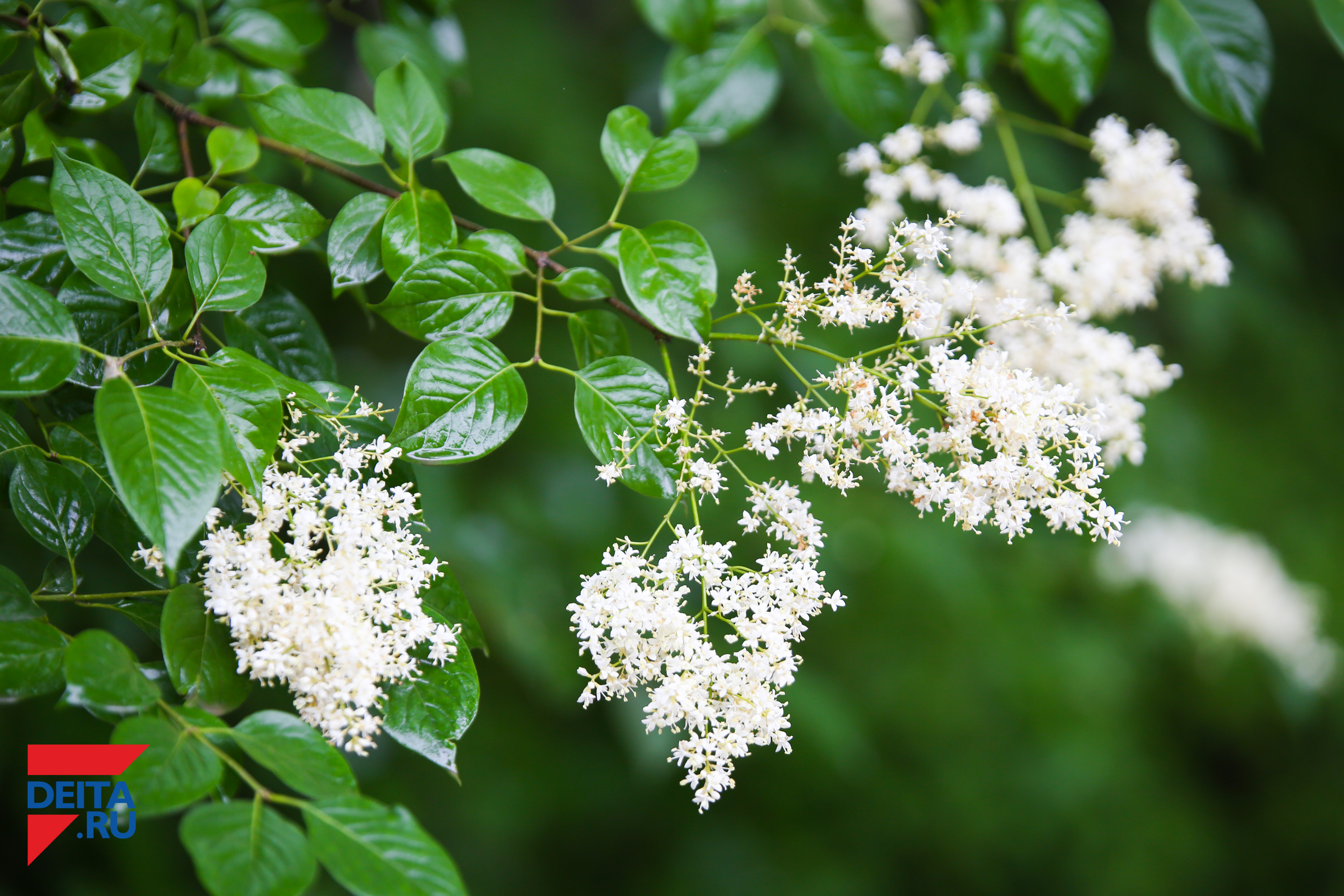 О погоде в августе поведал главный приморский синоптик