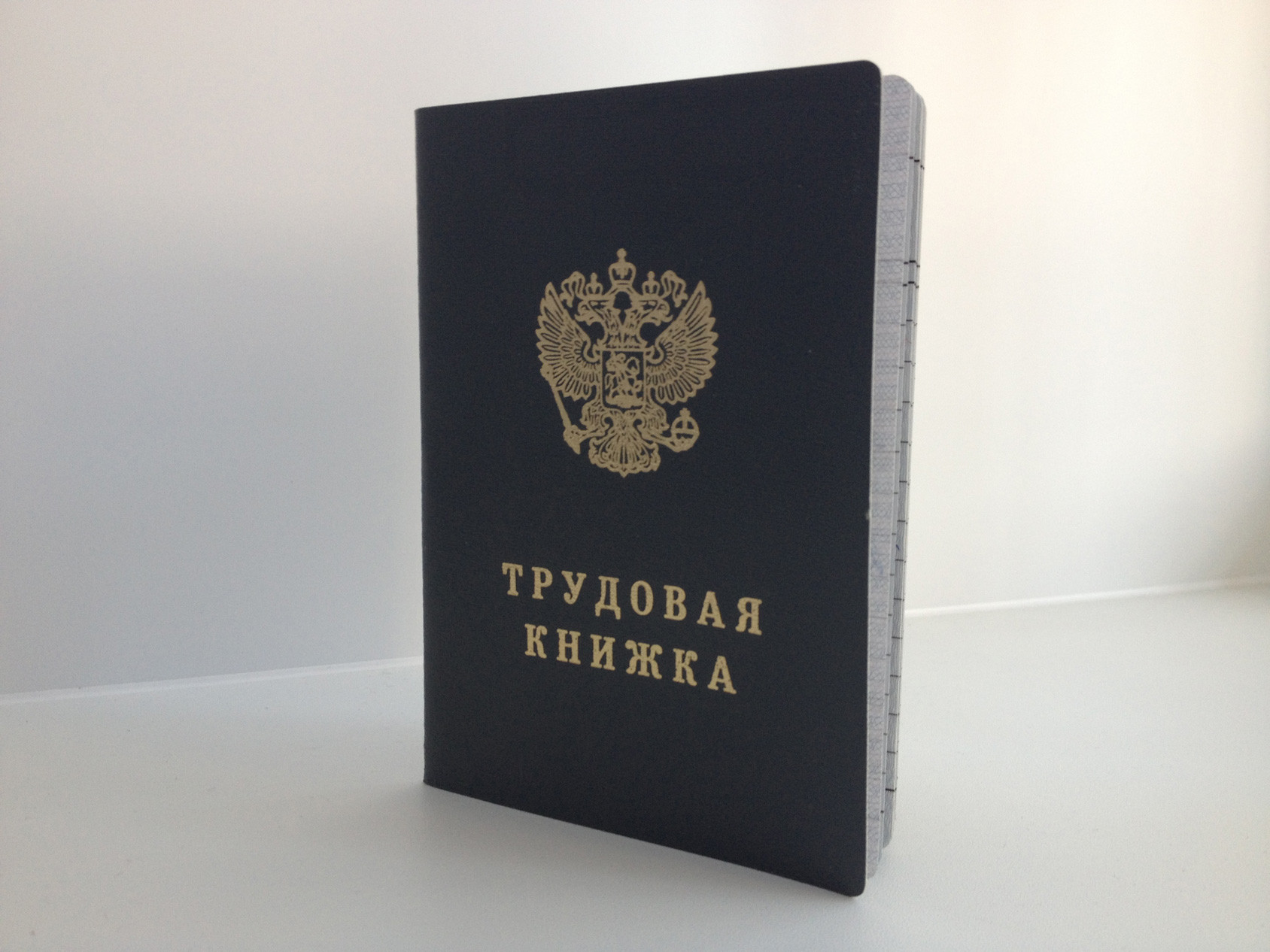 В России отменят бумажные трудовые книжки