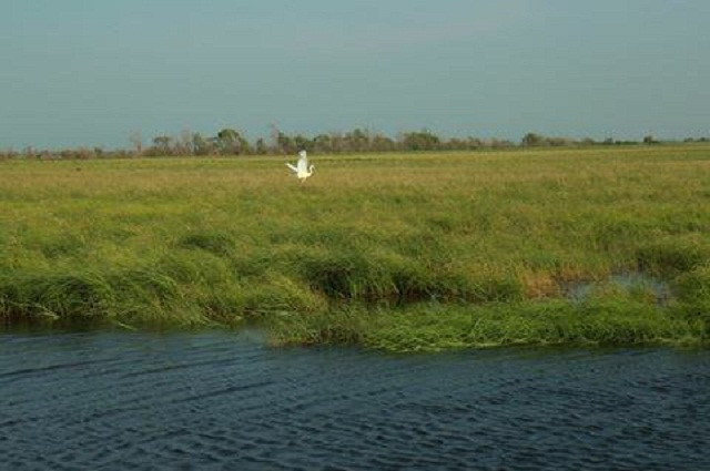 Выдача дальневосточного гектара продолжается