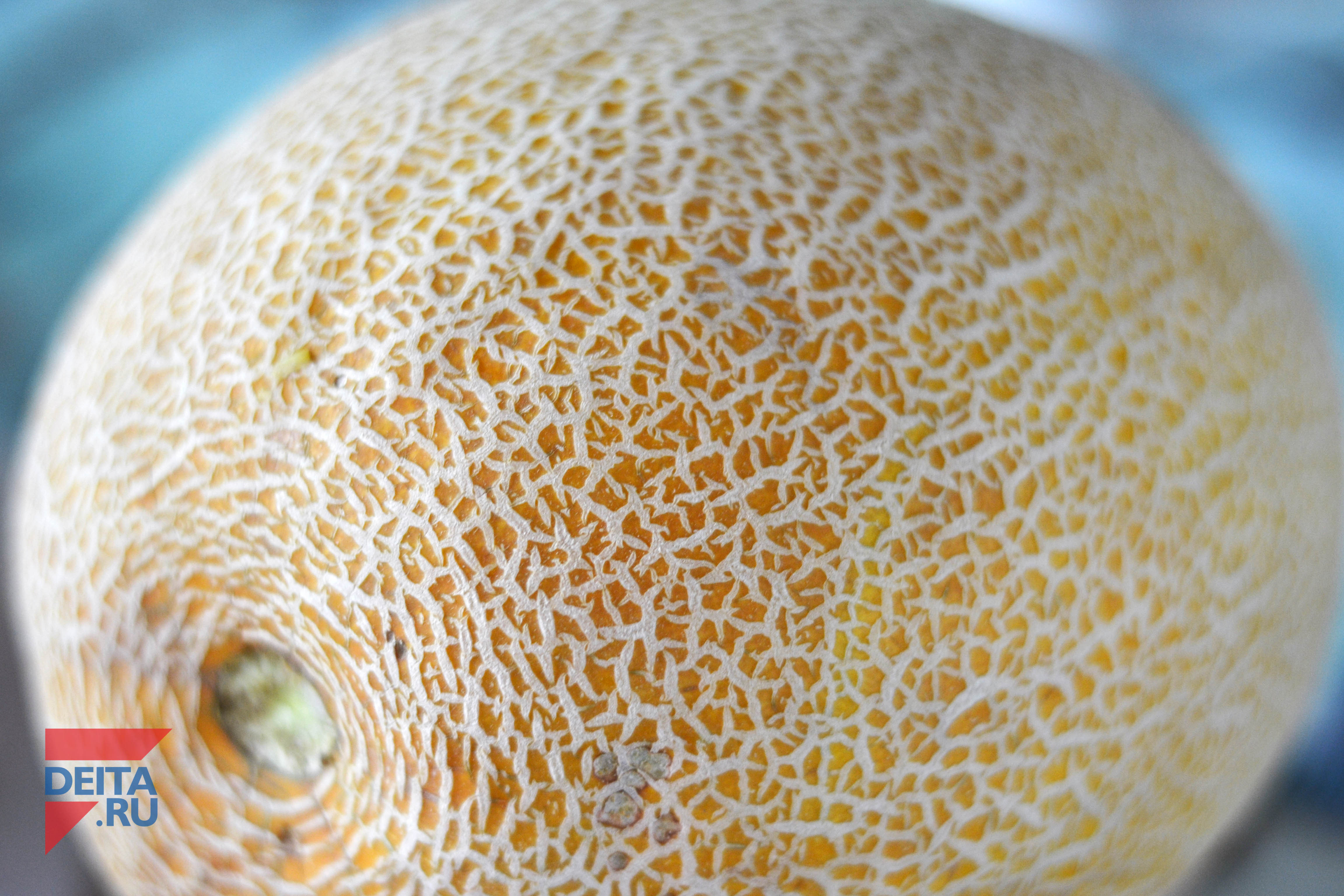 Роспотребнадзор рассказал, как выбрать правильные дыни и арбузы