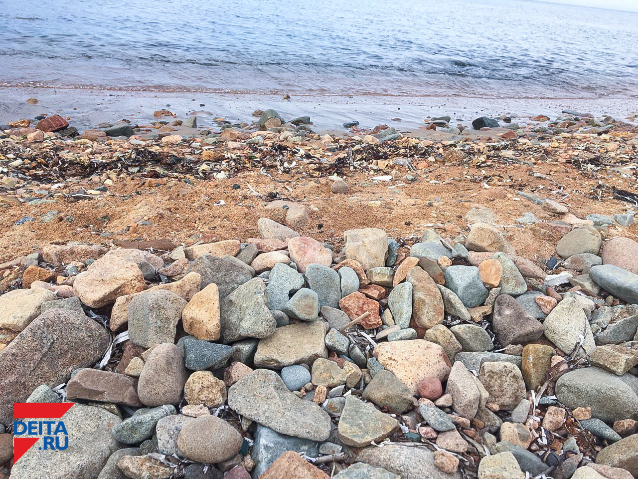 На пляже в Находке найден труп