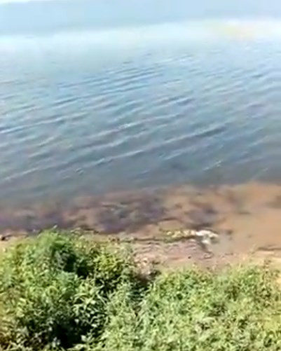 Зловонные реки портят отдых на популярном пляже