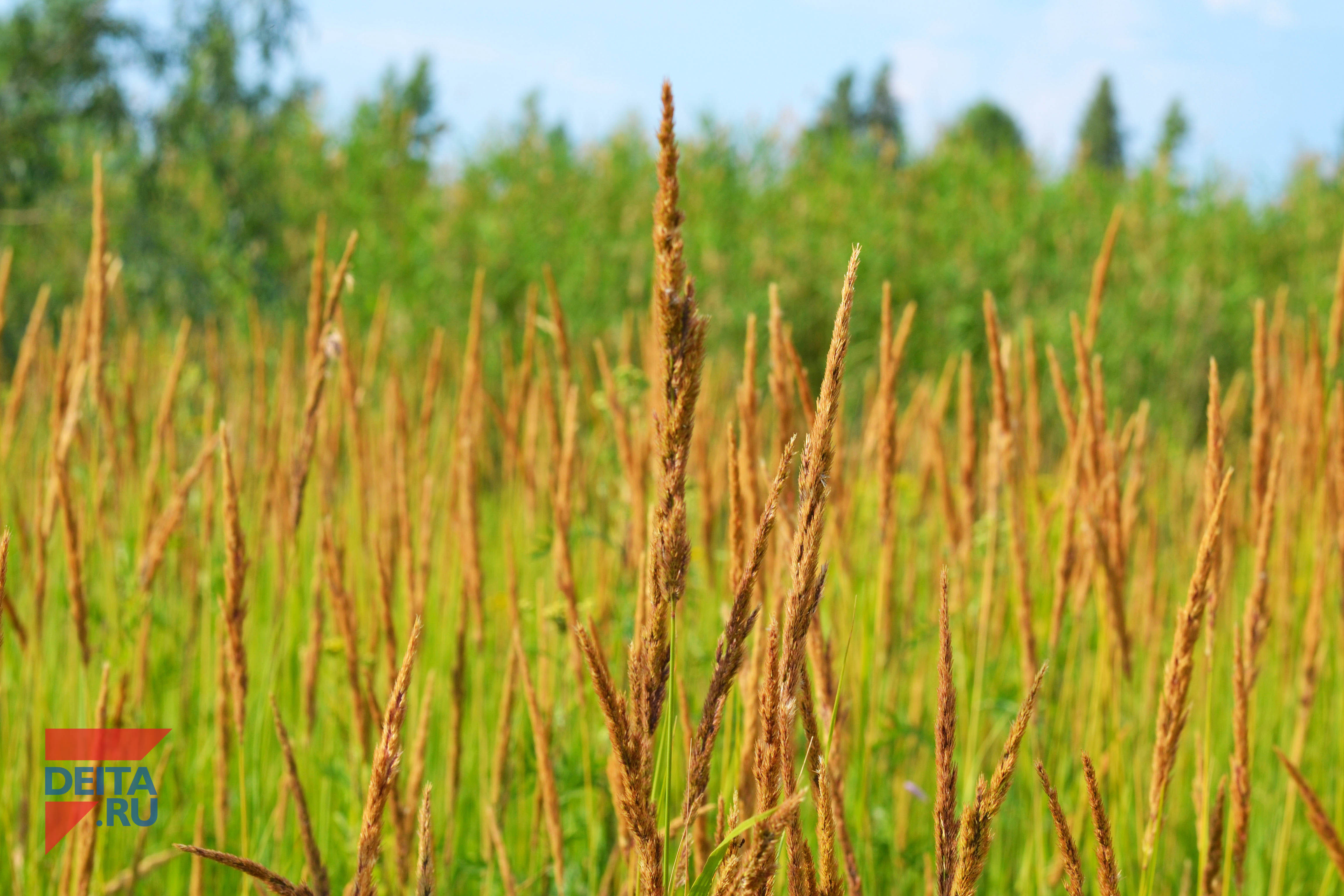 Водитель залил фекалиями землю-матушку