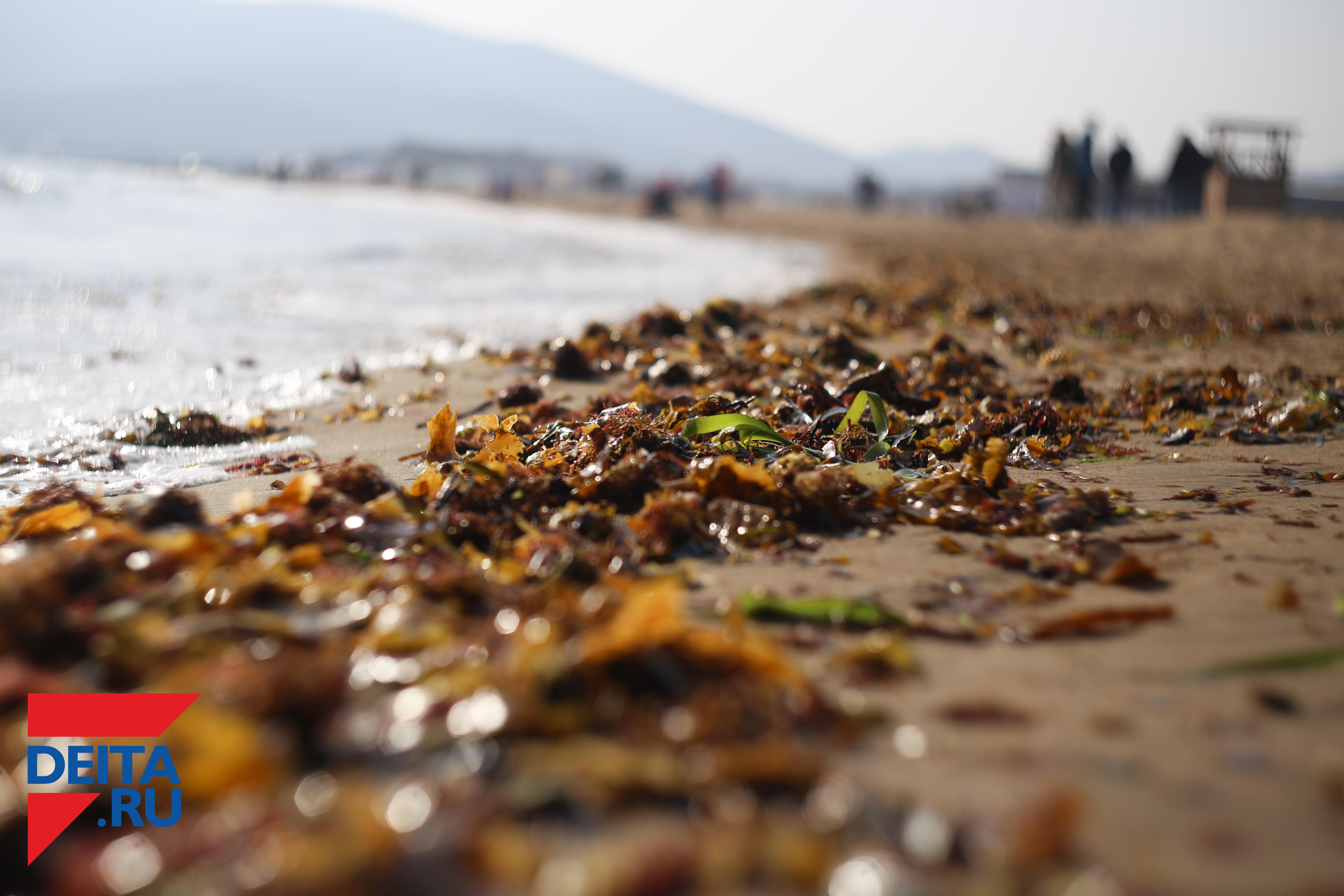 Шаморовских "веревочников" приструнили силовики