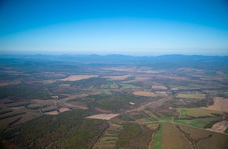 Лесоустройство в Приморье затронет более 400 тысяч гектаров