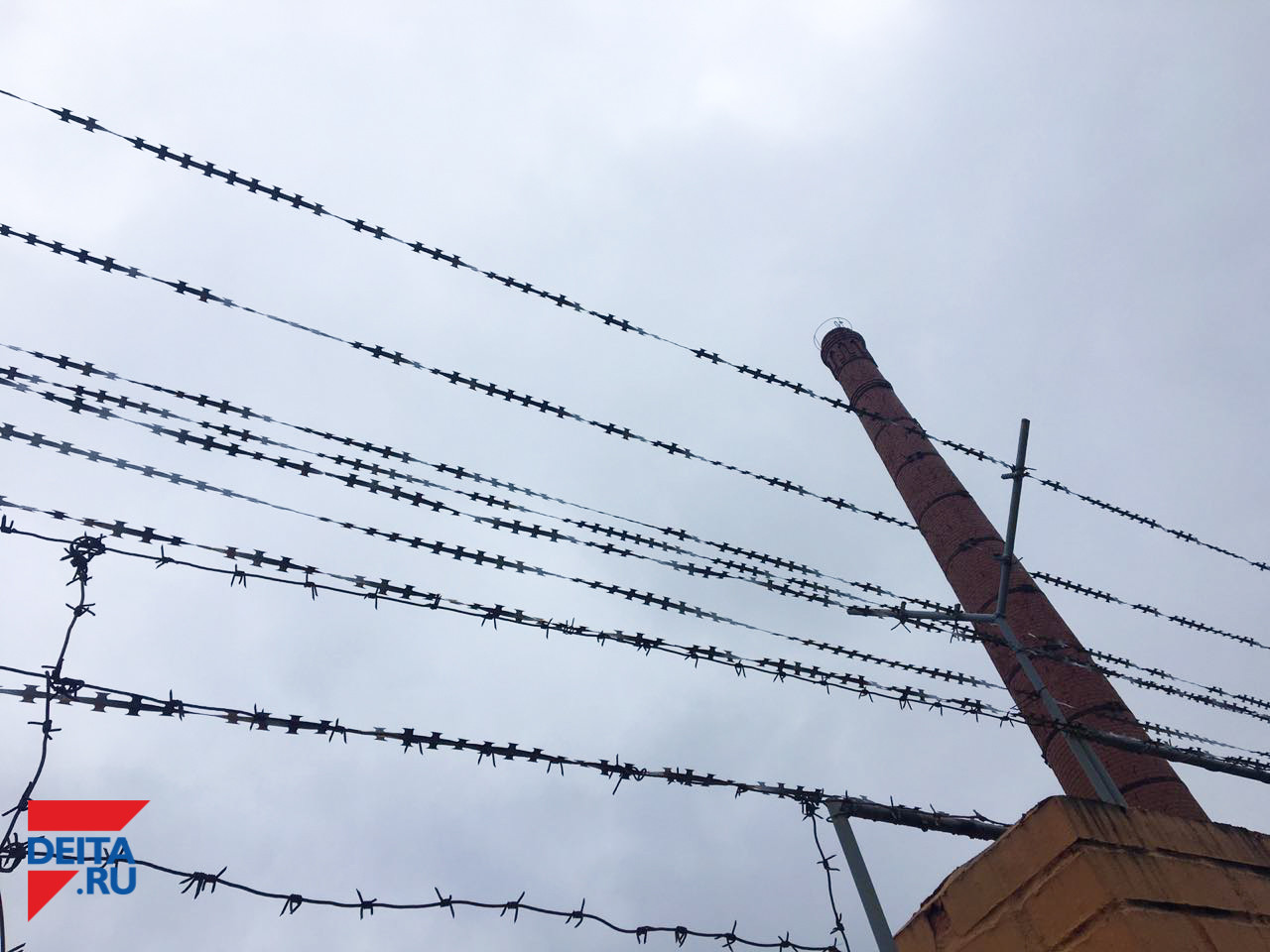 Приморец принял смерть от табурета: виновных накажут