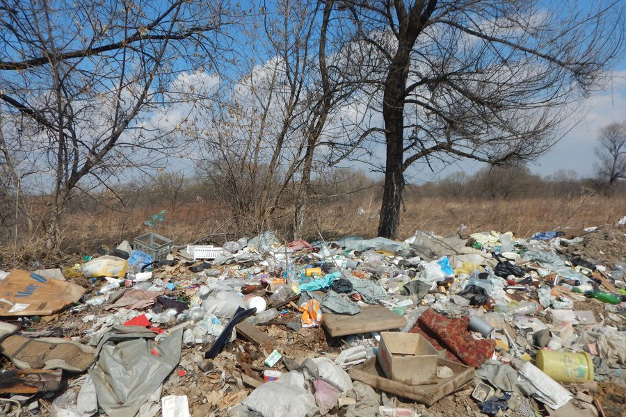 Еще 7 свалок уберут в Приморье